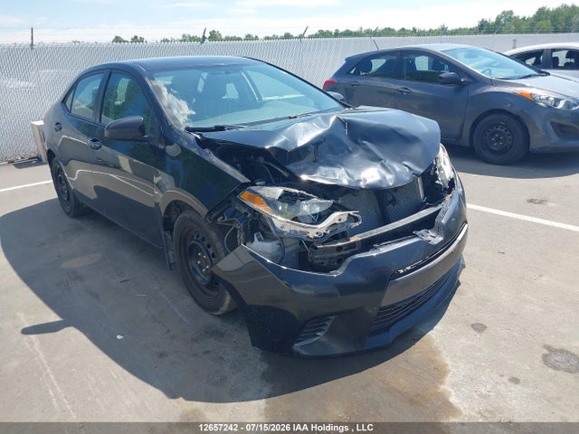 Toyota Corolla L/le/le Pls/prm/s/s Pls 2016 2T1BURHE6GC535609 главное изображение