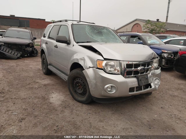 2011 Ford Escape Xlt Automatic მანქანა იყიდება აუქციონზე, vin: 1FMCU0D7XBKB49074, აუქციონის ნომერი: 12657351