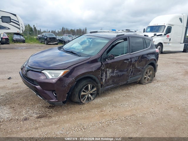 Aukcja sprzedaży 2016 Toyota Rav4 Xle, vin: 2T3RFREV8GW437958, numer aukcji: 12657378