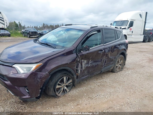 Aukcja sprzedaży 2016 Toyota Rav4 Xle, vin: 2T3RFREV8GW437958, numer aukcji: 12657378