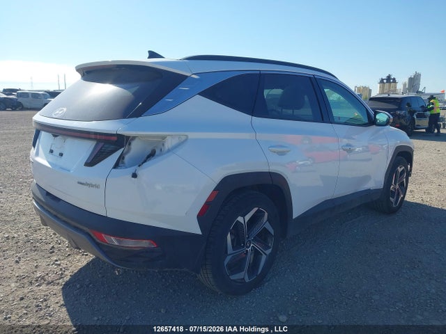 12657418 :رقم المزاد ، KM8JCCD19RU174960 vin ، 2024 Hyundai Tucson Luxury Awd مزاد بيع