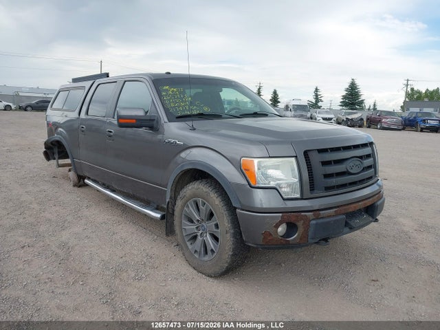 12657473 :رقم المزاد ، 1FTFW1EV5AFB50364 vin ، 2010 Ford F-150 Fx4/harley-davidson/king Ranch/lariat/platinum/xlt مزاد بيع