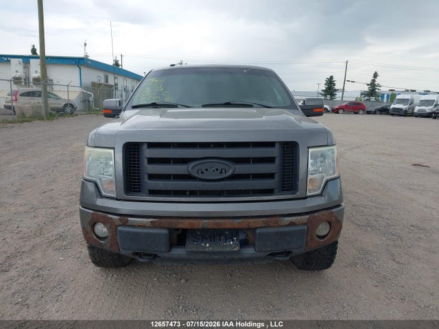 Aukcja sprzedaży 2010 Ford F-150 Fx4/harley-davidson/king Ranch/lariat/platinum/xlt, vin: 1FTFW1EV5AFB50364, numer aukcji: 12657473