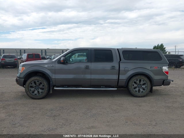 Aukcja sprzedaży 2010 Ford F-150 Fx4/harley-davidson/king Ranch/lariat/platinum/xlt, vin: 1FTFW1EV5AFB50364, numer aukcji: 12657473