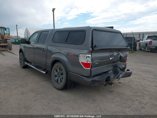 Aukcja sprzedaży 2010 Ford F-150 Fx4/harley-davidson/king Ranch/lariat/platinum/xlt, vin: 1FTFW1EV5AFB50364, numer aukcji: 12657473