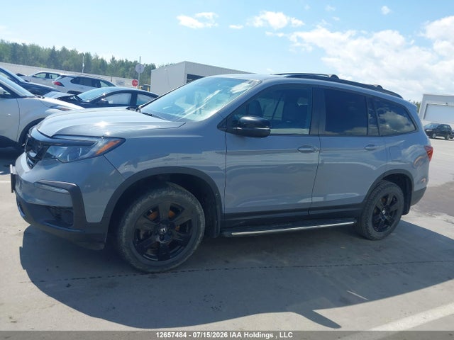 12657484 :رقم المزاد ، 5FNYF6H84NB501920 vin ، 2022 Honda Pilot Trailsport مزاد بيع