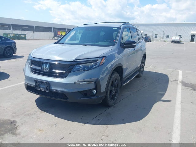 12657484 :رقم المزاد ، 5FNYF6H84NB501920 vin ، 2022 Honda Pilot Trailsport مزاد بيع