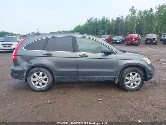 12642803 :رقم المزاد ، 5J6RE4H3XAL816786 vin ، 2010 Honda Cr-v Lx مزاد بيع