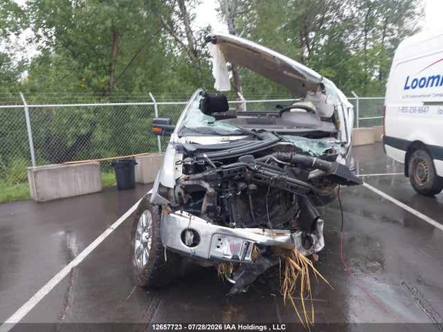 Продажа на аукционе авто 2009 Ford F-150 Lariat/xl/xlt, vin: 1FTPX14VX9FA65289, номер лота: 12657723