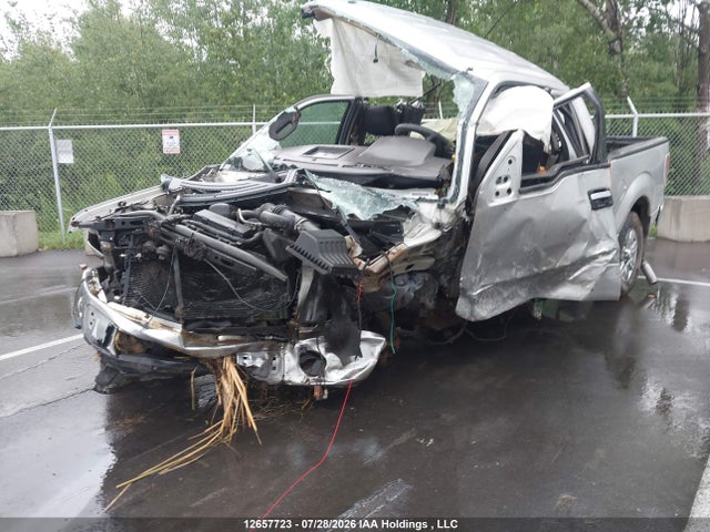Продажа на аукционе авто 2009 Ford F-150 Lariat/xl/xlt, vin: 1FTPX14VX9FA65289, номер лота: 12657723