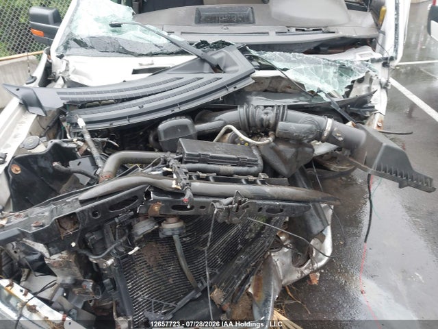 Продажа на аукционе авто 2009 Ford F-150 Lariat/xl/xlt, vin: 1FTPX14VX9FA65289, номер лота: 12657723