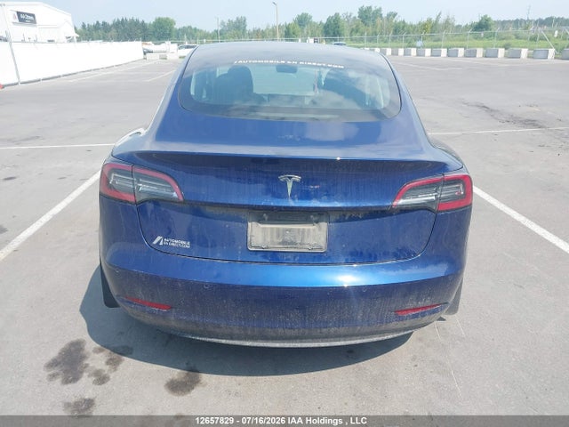 Tesla MODEL 3 2020 5YJ3E1EA9LF794010 Image 16
