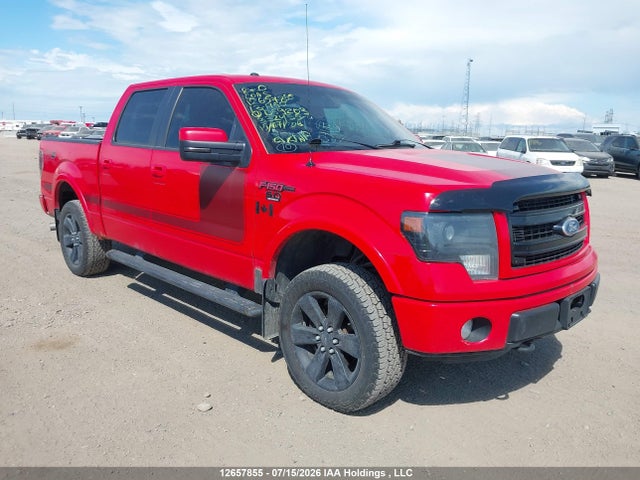 12657855 :رقم المزاد ، 1FTFW1EF0DFD59203 vin ، 2013 Ford F-150 Fx4 مزاد بيع