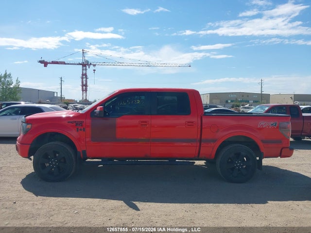 12657855 :رقم المزاد ، 1FTFW1EF0DFD59203 vin ، 2013 Ford F-150 Fx4 مزاد بيع