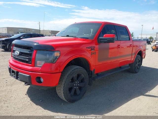 12657855 :رقم المزاد ، 1FTFW1EF0DFD59203 vin ، 2013 Ford F-150 Fx4 مزاد بيع