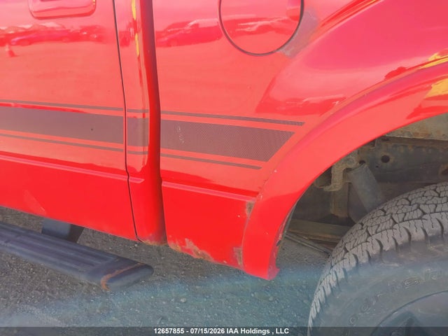 12657855 :رقم المزاد ، 1FTFW1EF0DFD59203 vin ، 2013 Ford F-150 Fx4 مزاد بيع