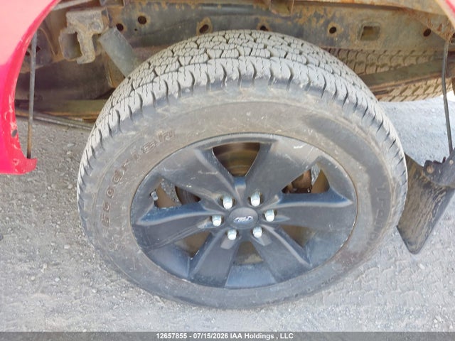 12657855 :رقم المزاد ، 1FTFW1EF0DFD59203 vin ، 2013 Ford F-150 Fx4 مزاد بيع