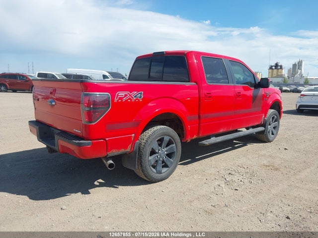 12657855 :رقم المزاد ، 1FTFW1EF0DFD59203 vin ، 2013 Ford F-150 Fx4 مزاد بيع