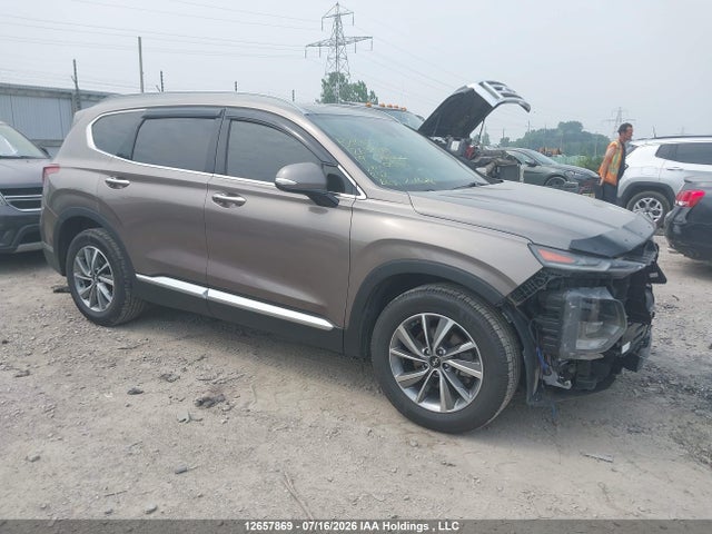 Hyundai Santa Fe 2019 5NMS3CAA4KH015919 zdjęcie główne