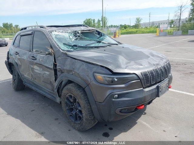 Jeep Cherokee 2021 1C4PJMBX0MD146202 главное изображение
