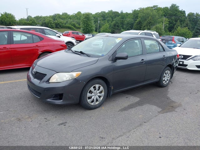 2010 Toyota Corolla Ce მანქანა იყიდება აუქციონზე, vin: 2T1BU4EE0AC218696, აუქციონის ნომერი: 12658123
