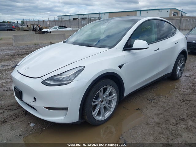 Auction sale of the 2022 Tesla Model Y Long Range, vin: 7SAYGDEE1NF504451, lot number: 12658193