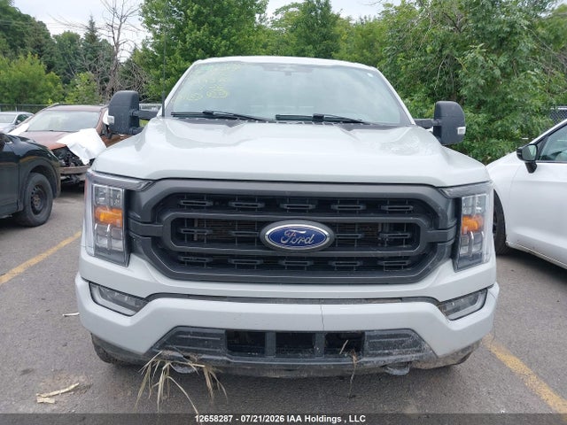 Ford F150 Supercrew 2023 1FTFW1E59PFC99370 Image 11