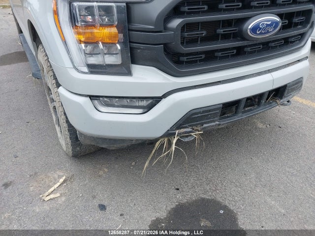 Ford F150 Supercrew 2023 1FTFW1E59PFC99370 Image 6