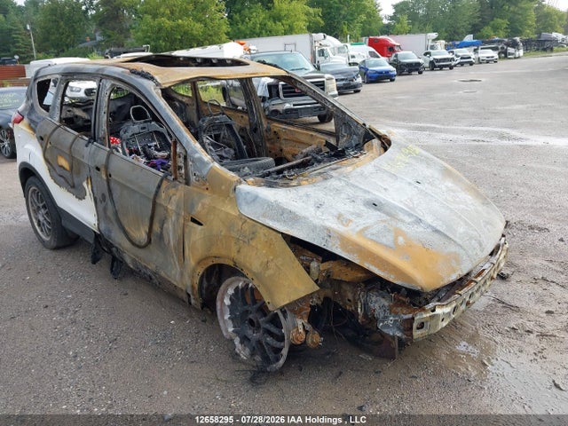 Продаж на аукціоні авто 2013 Ford Escape Se, vin: 1FMCU9GX6DUA96364, номер лоту: 12658295