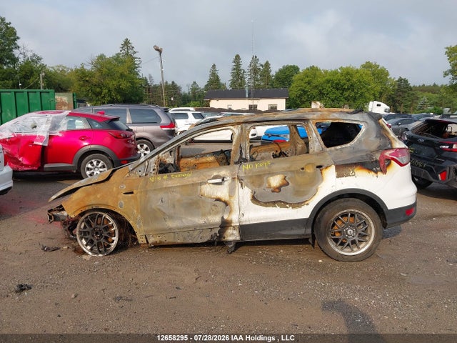 Продаж на аукціоні авто 2013 Ford Escape Se, vin: 1FMCU9GX6DUA96364, номер лоту: 12658295