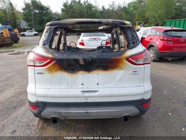 Продаж на аукціоні авто 2013 Ford Escape Se, vin: 1FMCU9GX6DUA96364, номер лоту: 12658295
