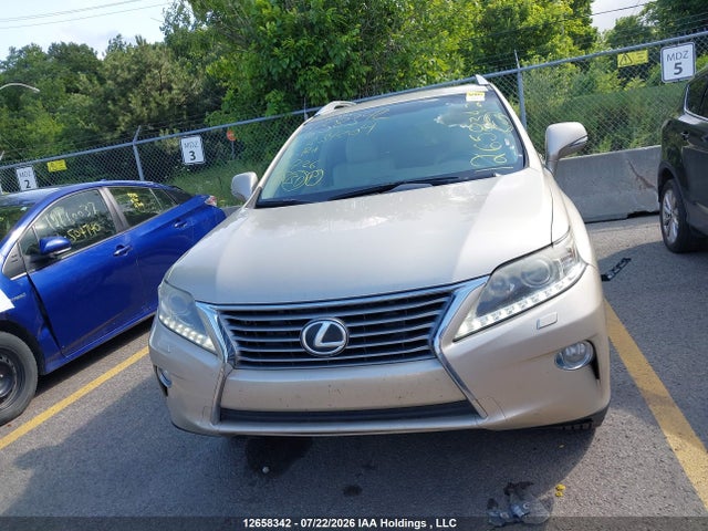 2T2BK1BA1EC234204 Lexus Rx 350/base/f Sport
