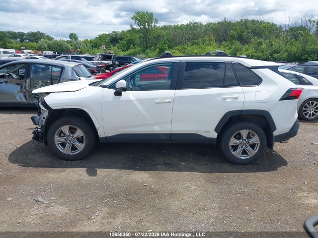 12658350 :رقم المزاد ، 2T3RWRFV3SW286566 vin ، 2025 Toyota Rav4 Hybrid Xle مزاد بيع