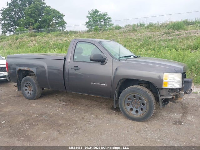 2010 Chevrolet Silverado C1500 მანქანა იყიდება აუქციონზე, vin: 1GCPCPEX8AZ235554, აუქციონის ნომერი: 12658481