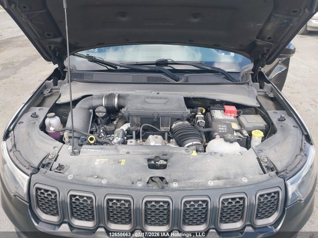 3C4NJDDNXPT550142 Jeep Compass Trailhawk