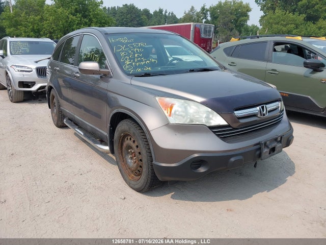 Продаж на аукціоні авто 2009 Honda Cr-v Exl, vin: 5J6RE48719L803990, номер лоту: 12658781