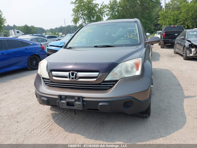 12658781 :رقم المزاد ، 5J6RE48719L803990 vin ، 2009 Honda Cr-v Exl مزاد بيع