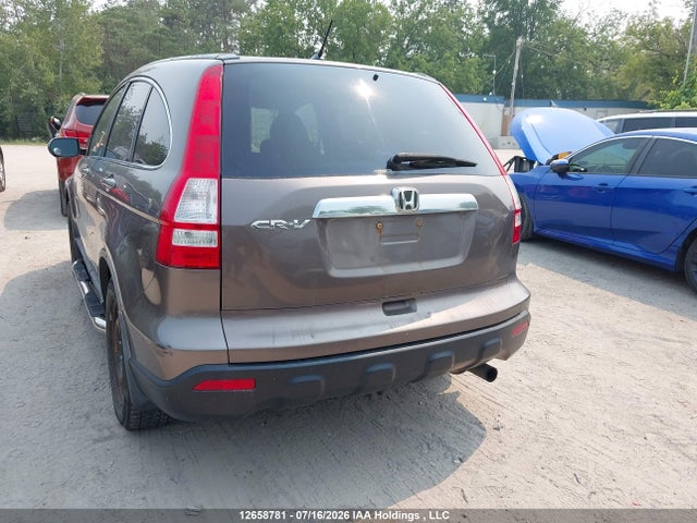 12658781 :رقم المزاد ، 5J6RE48719L803990 vin ، 2009 Honda Cr-v Exl مزاد بيع