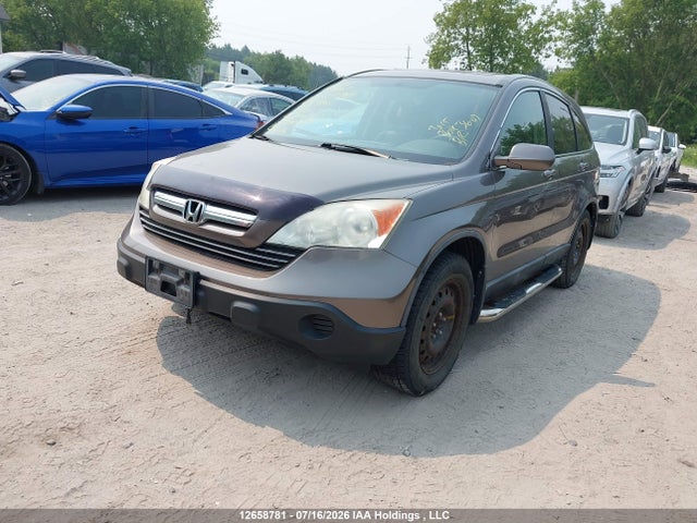 12658781 :رقم المزاد ، 5J6RE48719L803990 vin ، 2009 Honda Cr-v Exl مزاد بيع