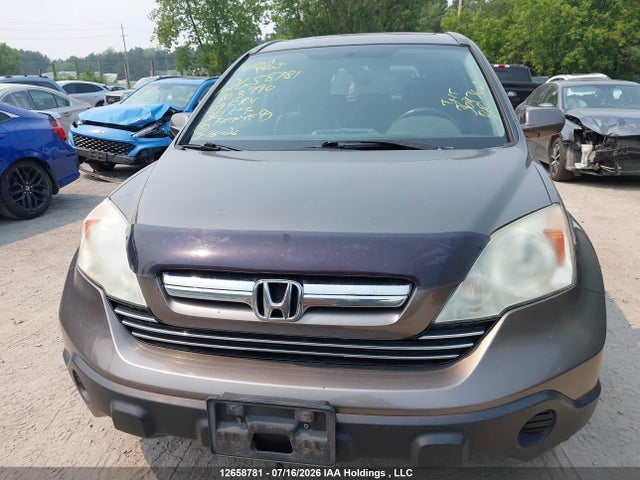12658781 :رقم المزاد ، 5J6RE48719L803990 vin ، 2009 Honda Cr-v Exl مزاد بيع