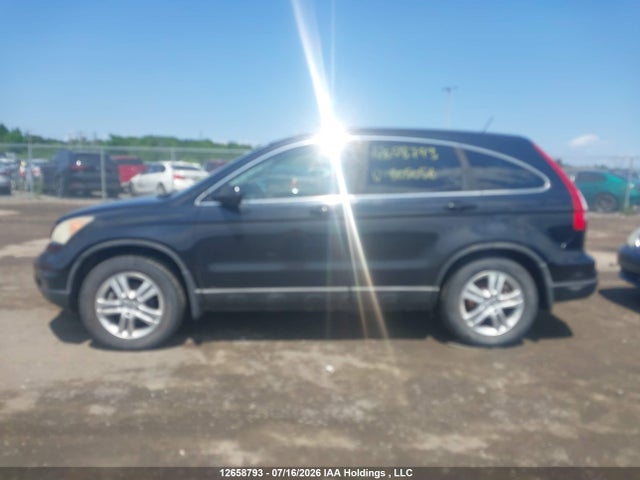 Продаж на аукціоні авто 2010 Honda Cr-v Ex, vin: 5J6RE4H54AL805056, номер лоту: 12658793