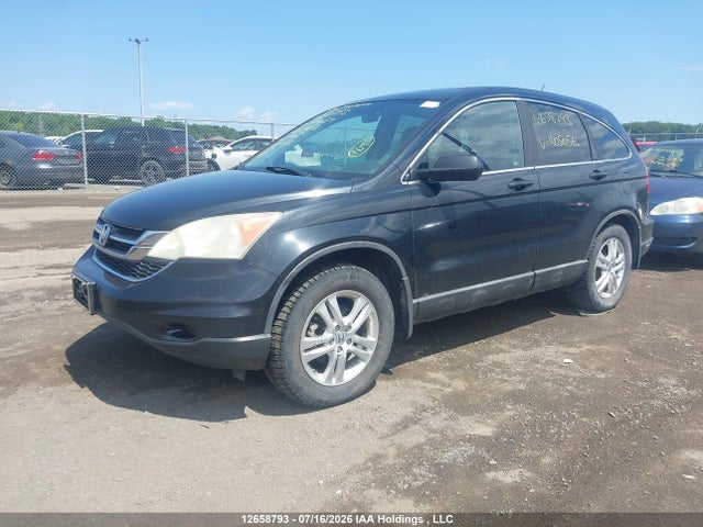 Продаж на аукціоні авто 2010 Honda Cr-v Ex, vin: 5J6RE4H54AL805056, номер лоту: 12658793