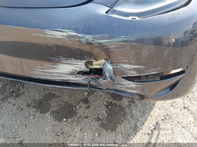 Tesla Model Y 2024 7SAYGDEE0RF079620 Image 6