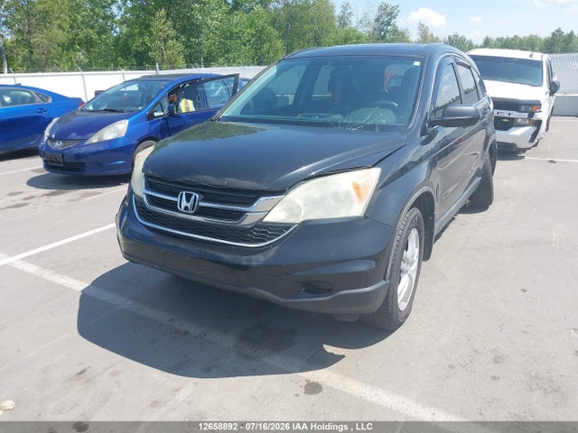 2011 Honda Cr-v Ex მანქანა იყიდება აუქციონზე, vin: 5J6RE4H57BL805828, აუქციონის ნომერი: 12658892
