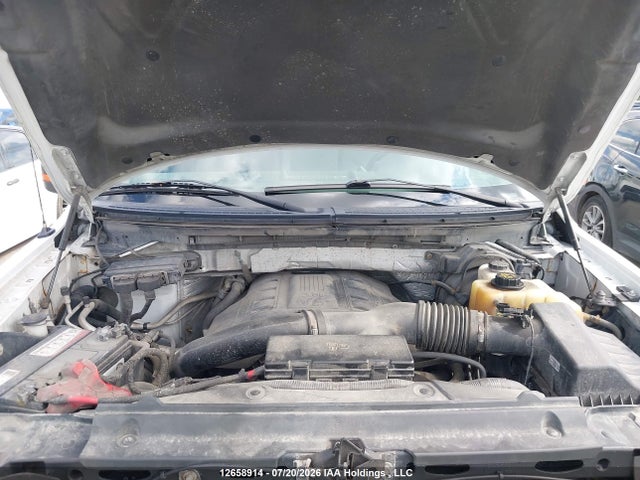 12658914 :رقم المزاد ، 1FTFW1ET6DKE31342 vin ، 2013 Ford F150 Supercrew مزاد بيع