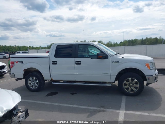 12658914 :رقم المزاد ، 1FTFW1ET6DKE31342 vin ، 2013 Ford F150 Supercrew مزاد بيع
