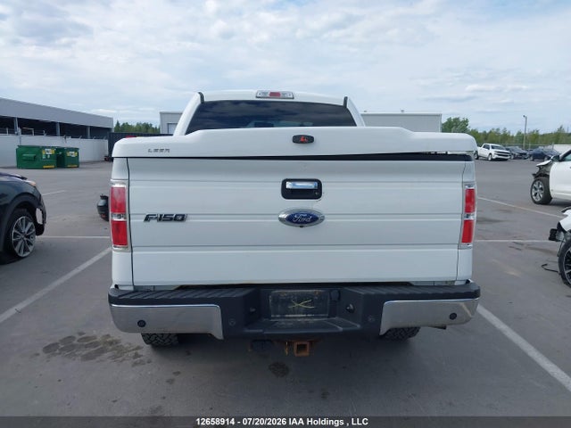 12658914 :رقم المزاد ، 1FTFW1ET6DKE31342 vin ، 2013 Ford F150 Supercrew مزاد بيع