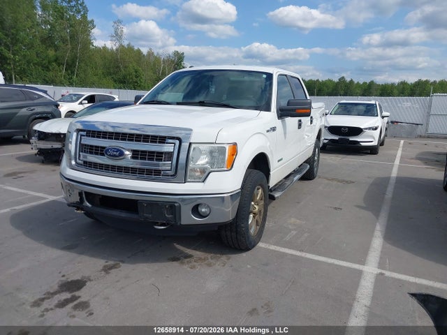 12658914 :رقم المزاد ، 1FTFW1ET6DKE31342 vin ، 2013 Ford F150 Supercrew مزاد بيع