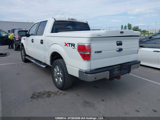 12658914 :رقم المزاد ، 1FTFW1ET6DKE31342 vin ، 2013 Ford F150 Supercrew مزاد بيع
