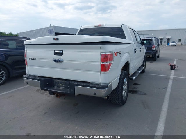 12658914 :رقم المزاد ، 1FTFW1ET6DKE31342 vin ، 2013 Ford F150 Supercrew مزاد بيع